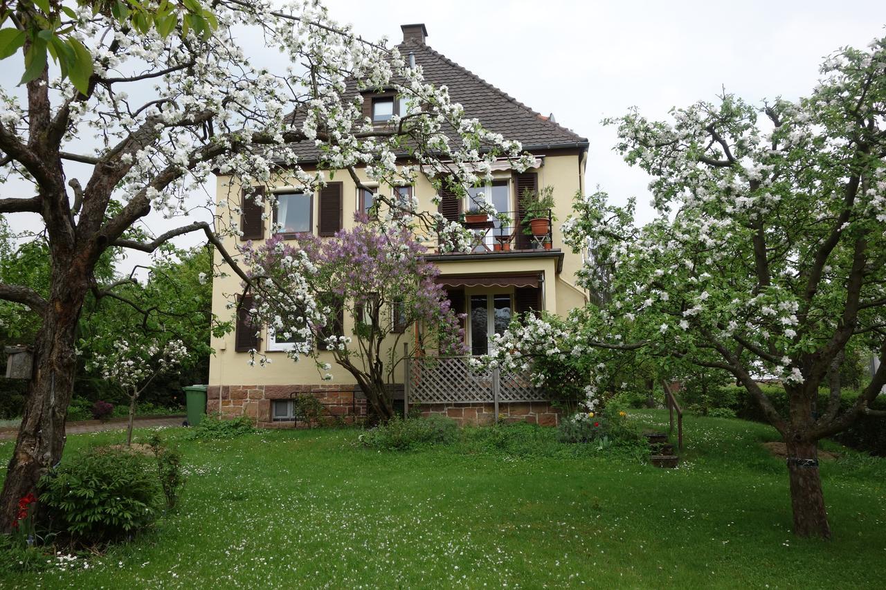 Haus Victoria Villa Marburg Exterior photo